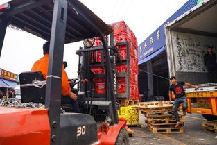 海峡两岸携手，滞销水果变畅销——物流城仓储服务助力台农脱困